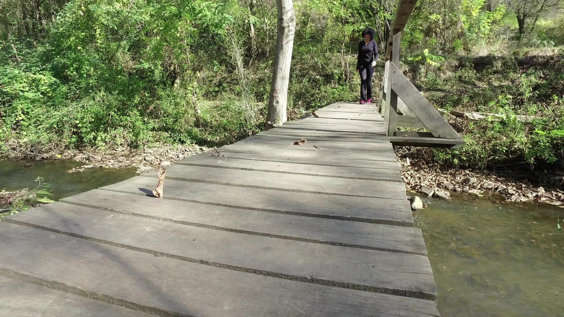 秋天在森林公园里穿过木桥的山上妇女视频的预览图