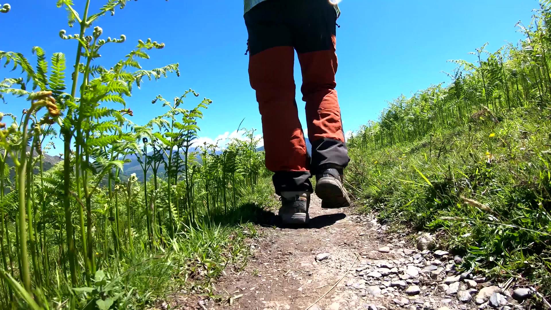 在山上徒步旅行者回头看了看在路上行走的人的背视频的预览图