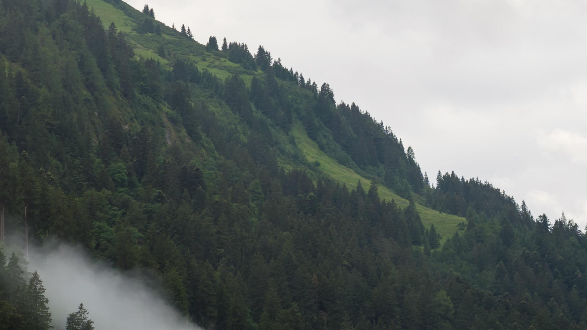 在奥述山上树木穿过云层视频的预览图