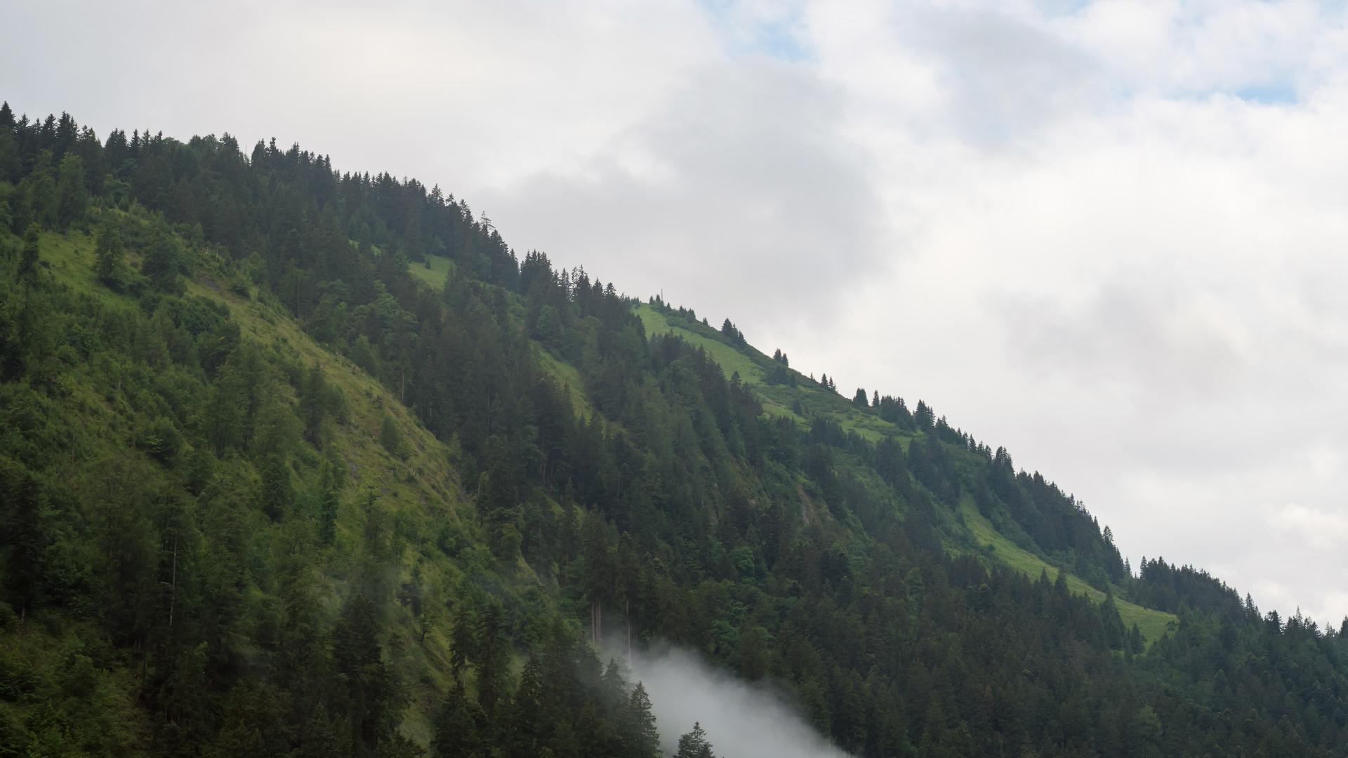 在奥述山上树木穿过云层视频的预览图