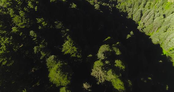 从德奥班森林出发部阿坎德邦附近的德奥班森林出发视频的预览图