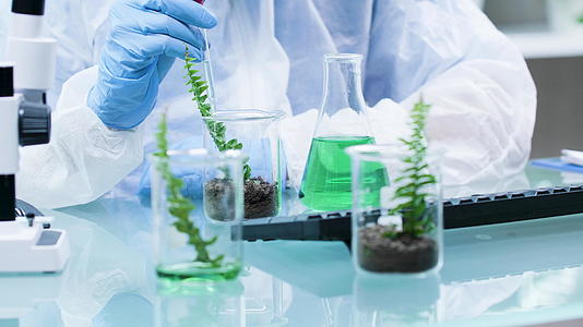 化学家在植物上用凝胶做实验视频的预览图
