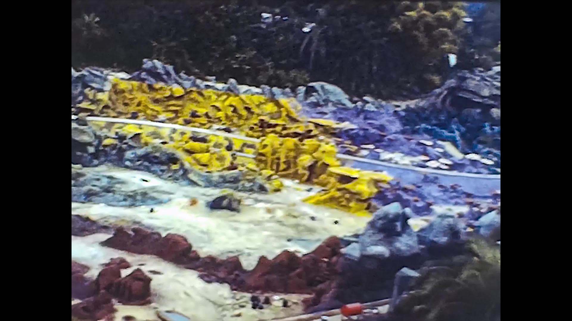 迈阿密19801980年迈阿密迪斯尼乐园游乐园视频的预览图