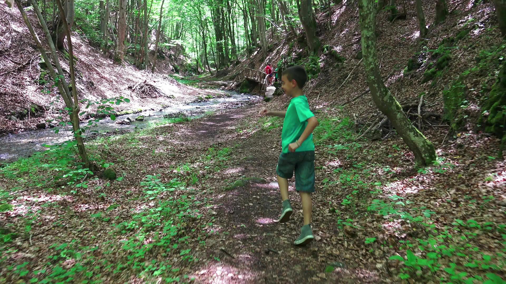 小男孩在森林里被追赶视频的预览图