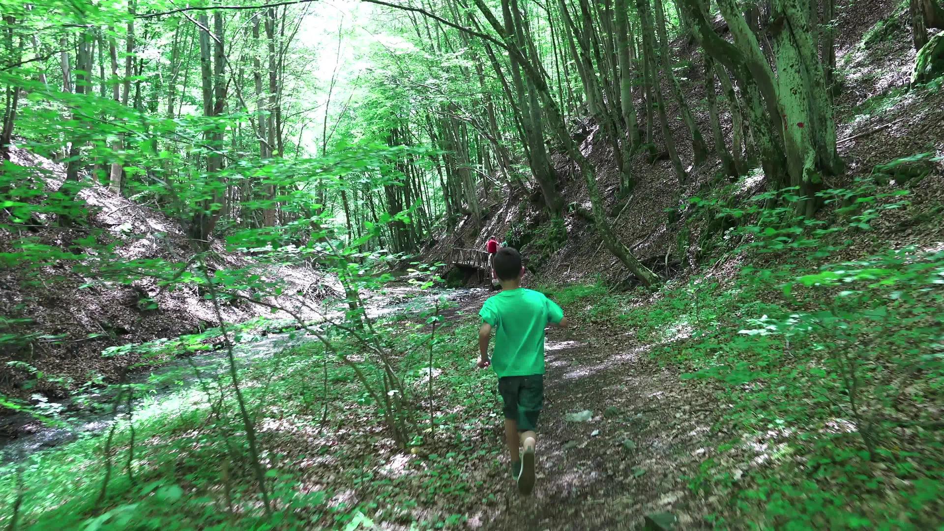 在森林里追逐男孩稳定地射击视频的预览图