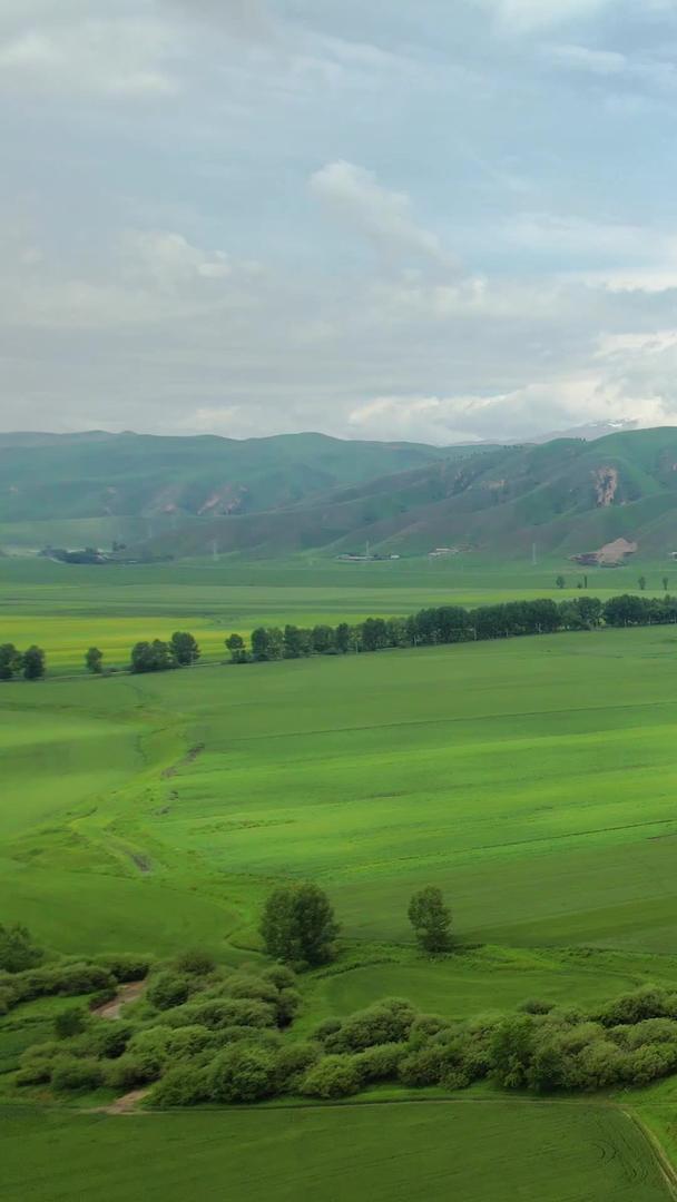 伊犁唐布拉大草原4A景区自然风光视频视频的预览图
