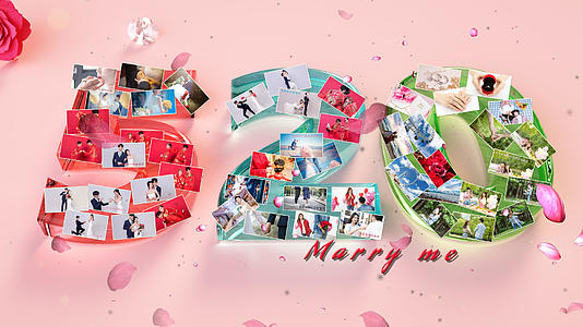 简洁唯美婚礼婚庆纪念相册展示视频的预览图