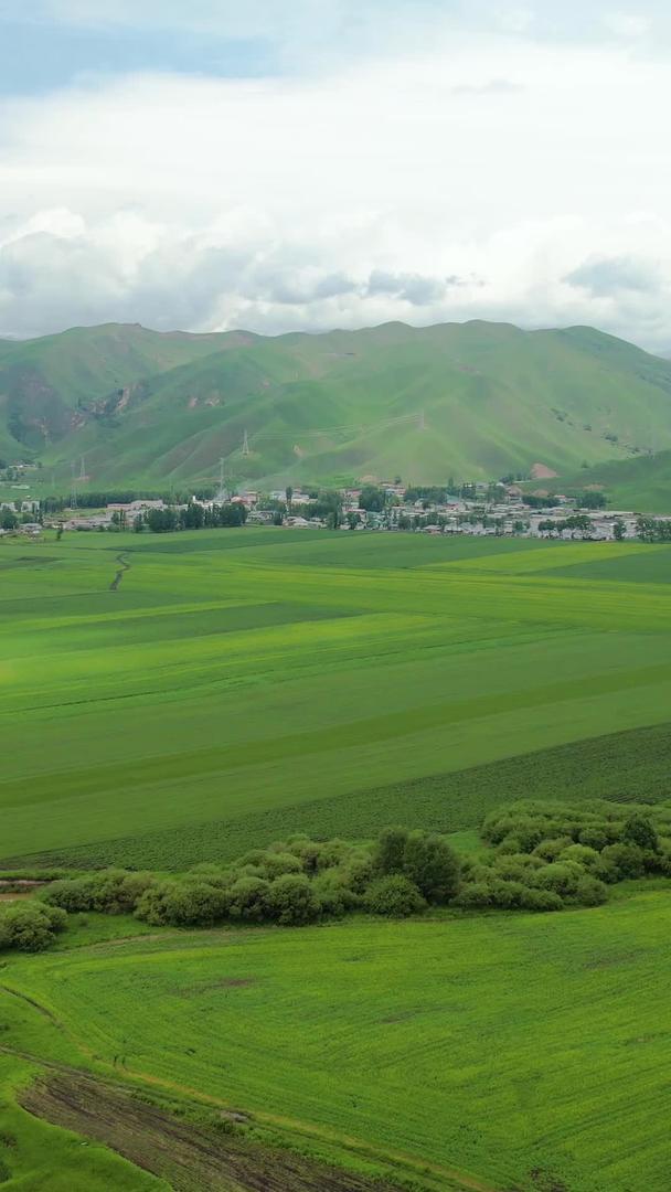 伊犁唐布拉大草原4A景区自然风光视频视频的预览图
