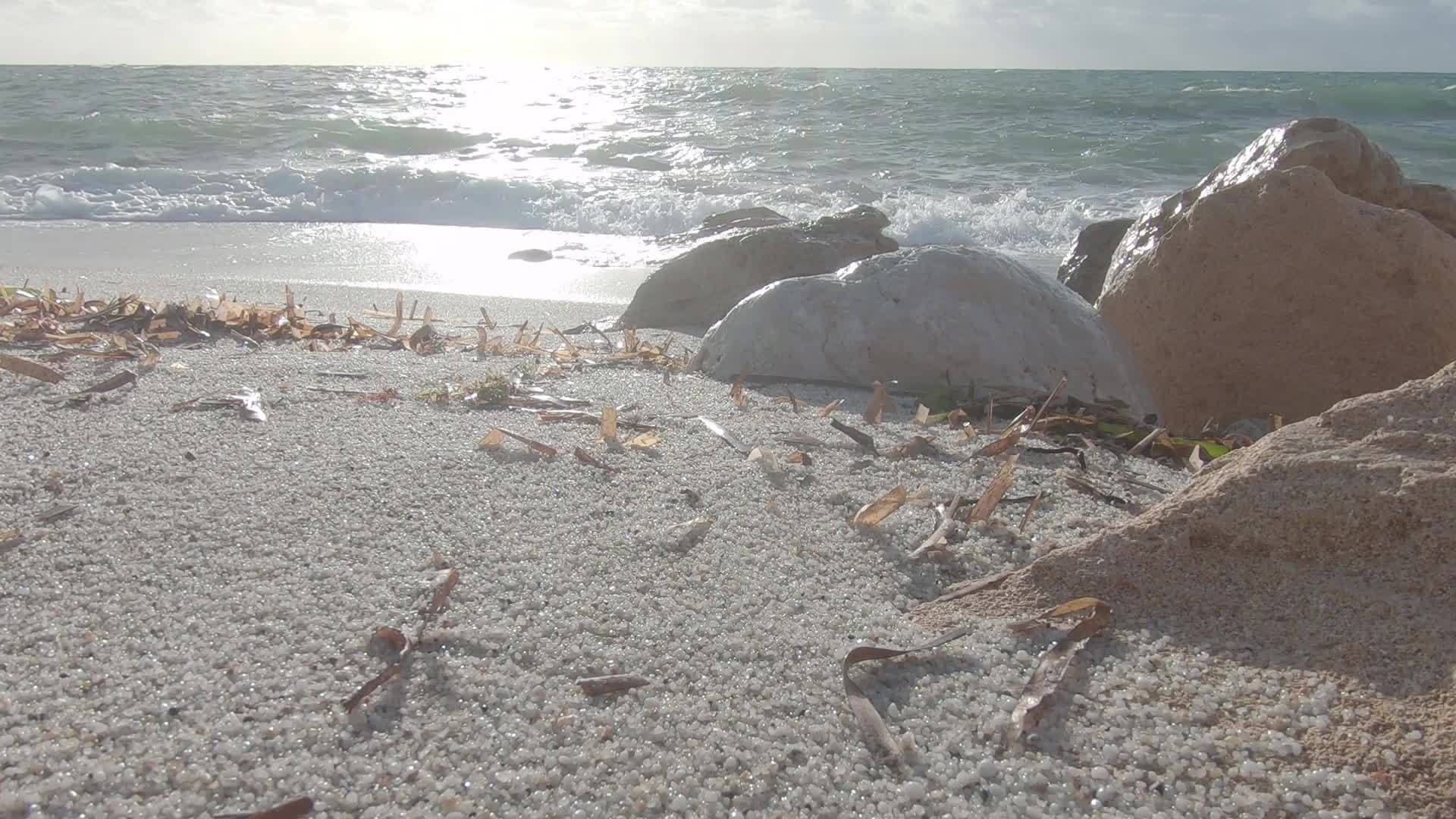 观察海浪海岸上浮积的海草叶和背景云天的石灰岩视频的预览图