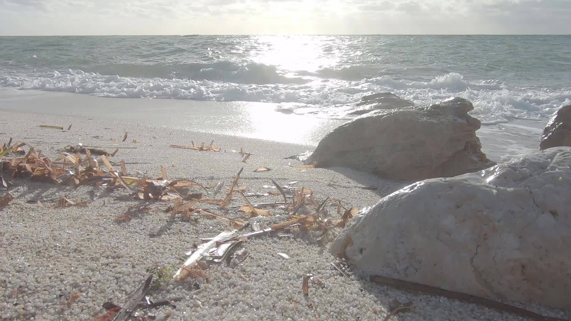 观察海浪海岸上浮积的海草叶和背景云天的石灰岩视频的预览图