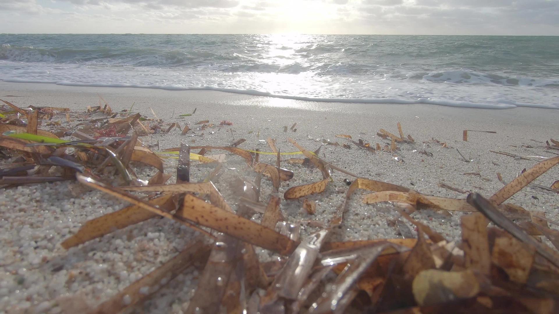 白石英沙岸上海藻叶的角浪冲来冲去把它们弄湿了但天空中视频的预览图