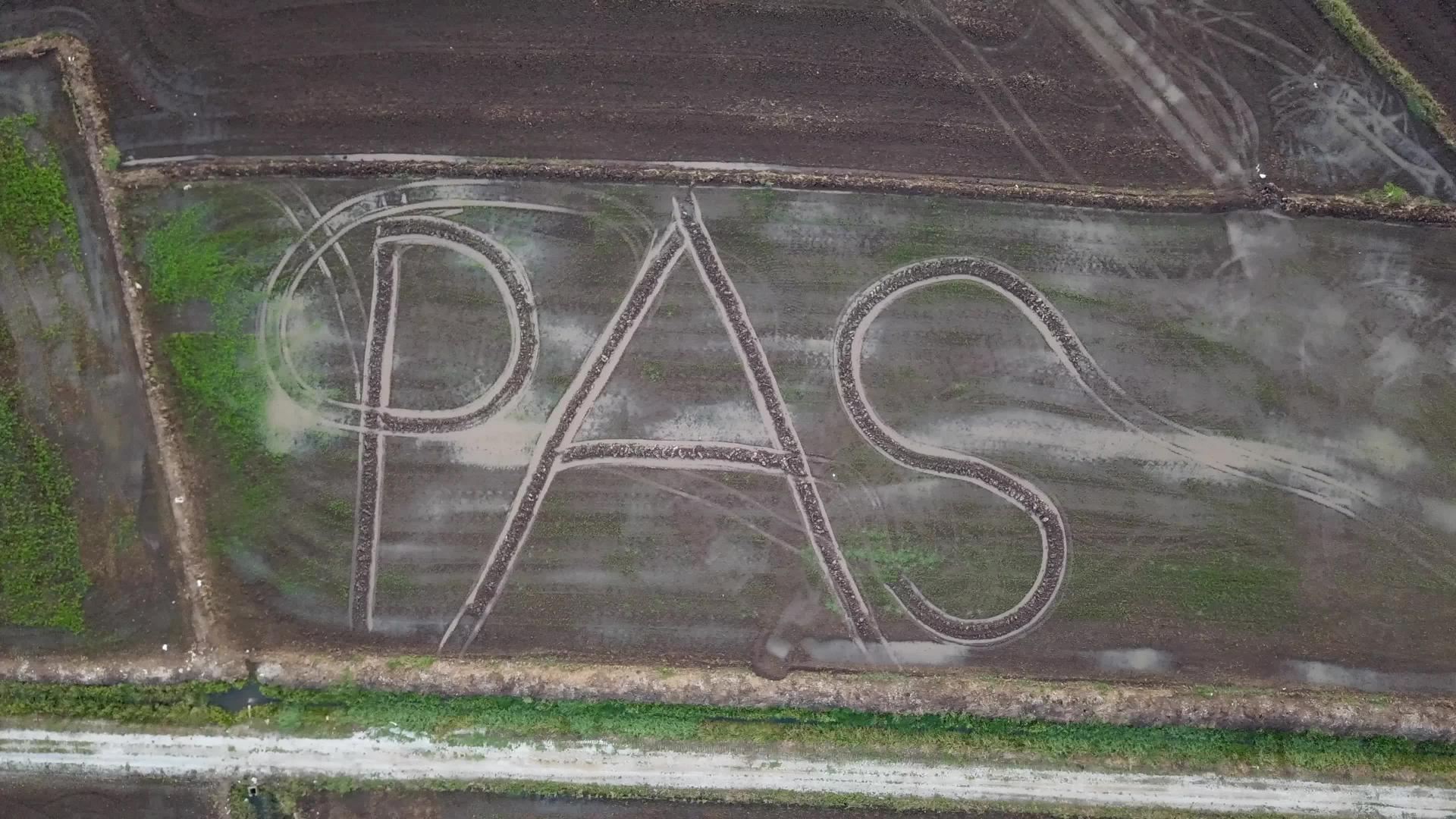 看看伯南稻田区的空气pas单词视频的预览图