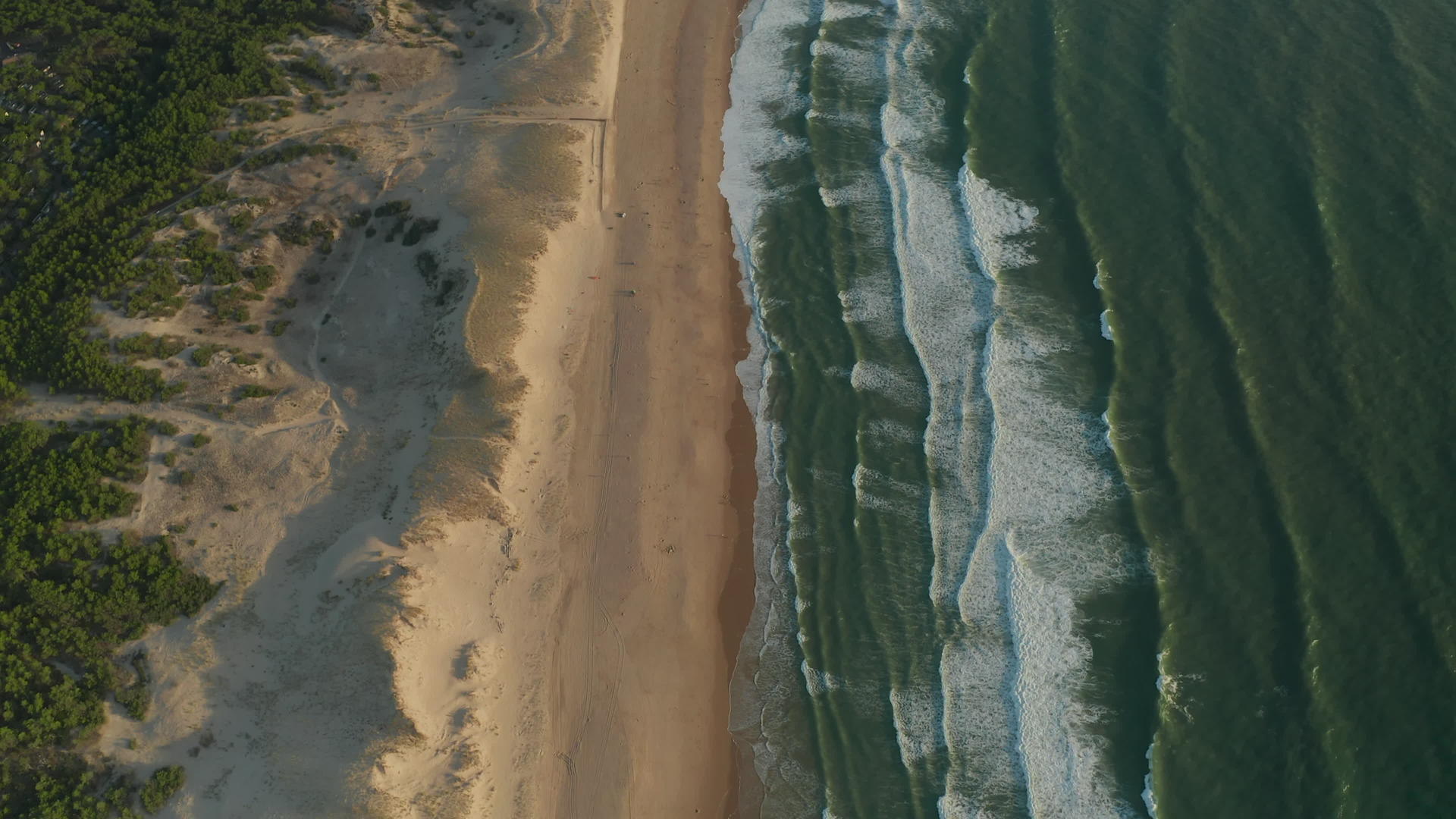 黄昏时分带有沙丘、棕沙和绿色海洋的热带海滩是空中鸟类的最高镜头视频的预览图