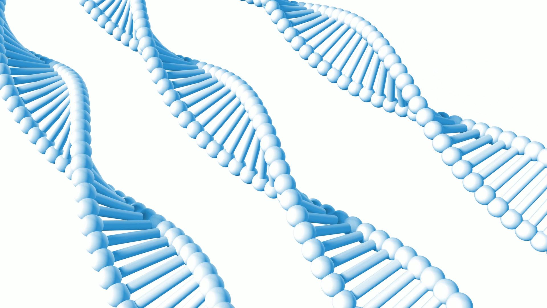 DNA蛋白质艺术基因代码序列视频的预览图