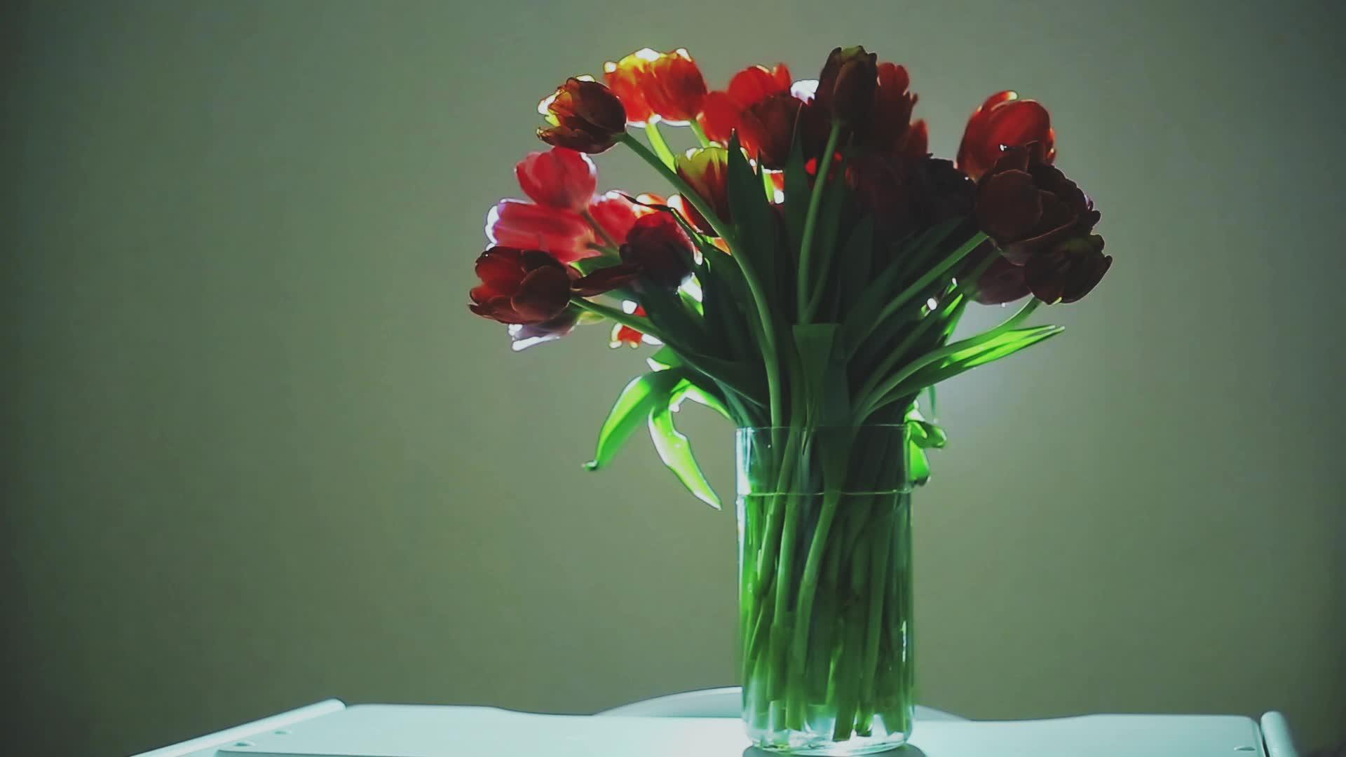 花瓶里有大量美丽的郁金香视频的预览图