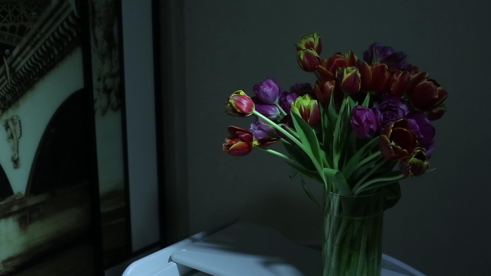 晚上花瓶里有一束美丽的大郁金香花束视频的预览图