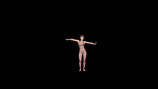 美丽的女性腹部舞蹈阿尔法频道视频的预览图