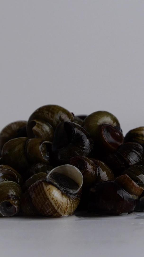 蜗牛蜗螺石螺水产美食视频的预览图