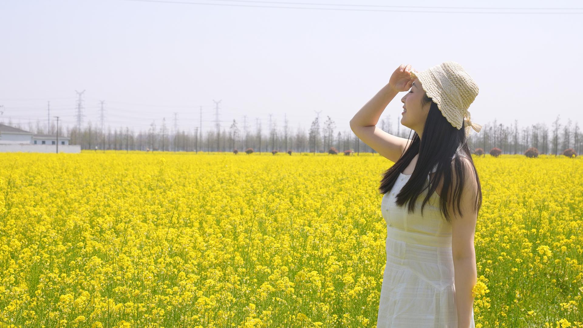 长裙女子在油菜花田赏花视频的预览图