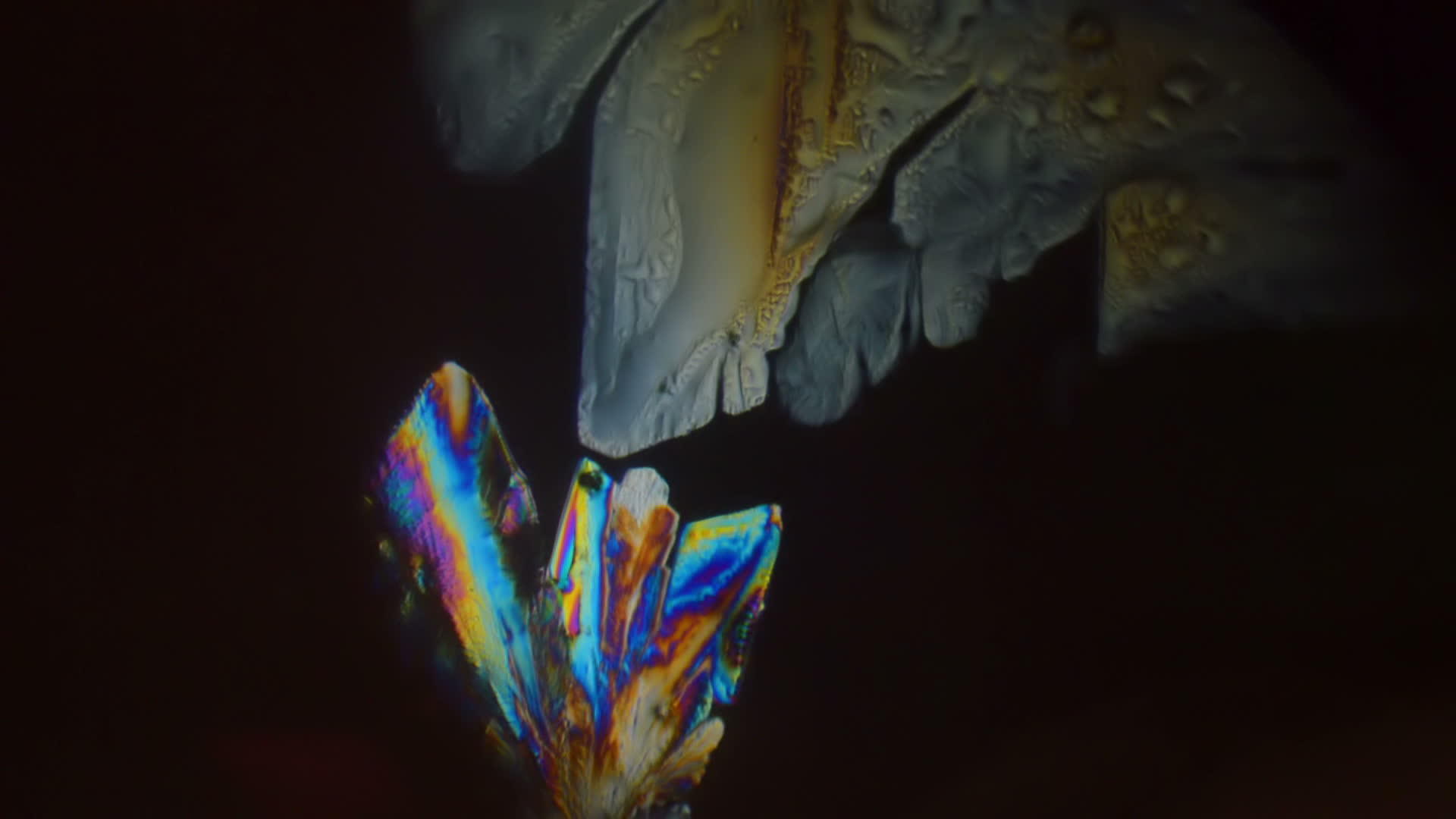 微型水晶体视频的预览图
