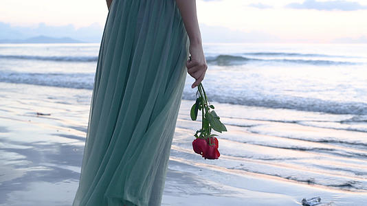 4K海滩上手持玫瑰的少女视频的预览图