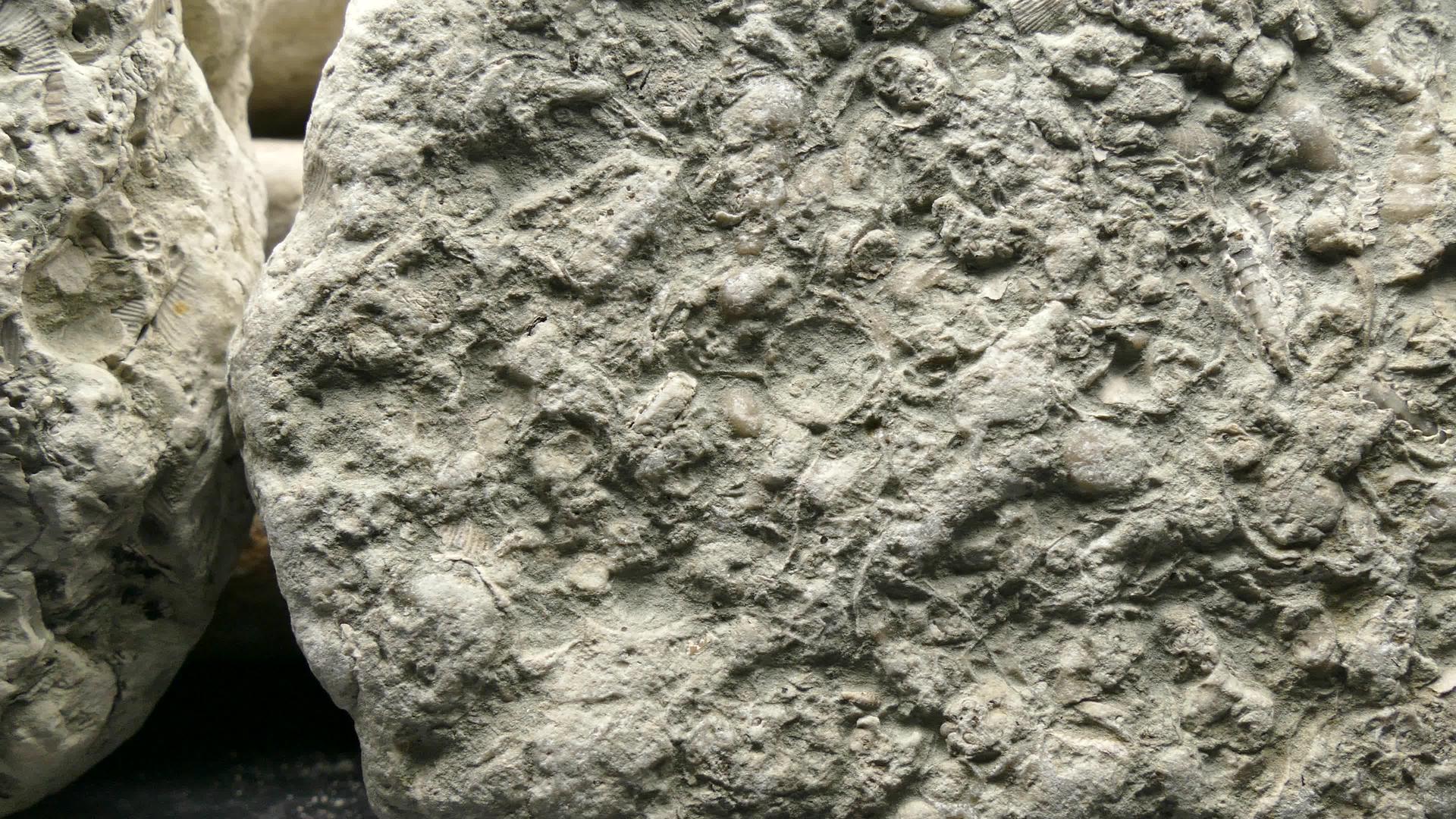 黄酸石灰石带有化石和相机驱动器视频的预览图