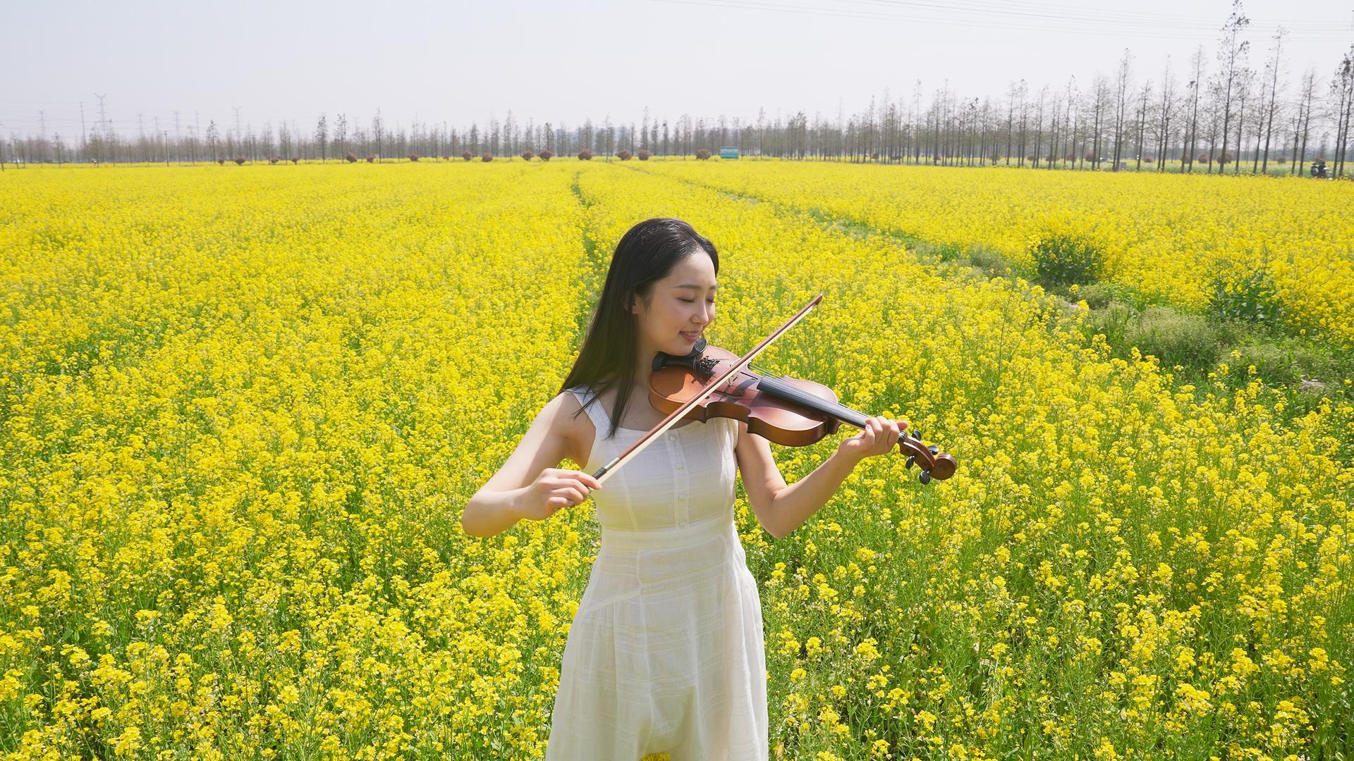 女子在油菜花田里拉小提琴视频的预览图