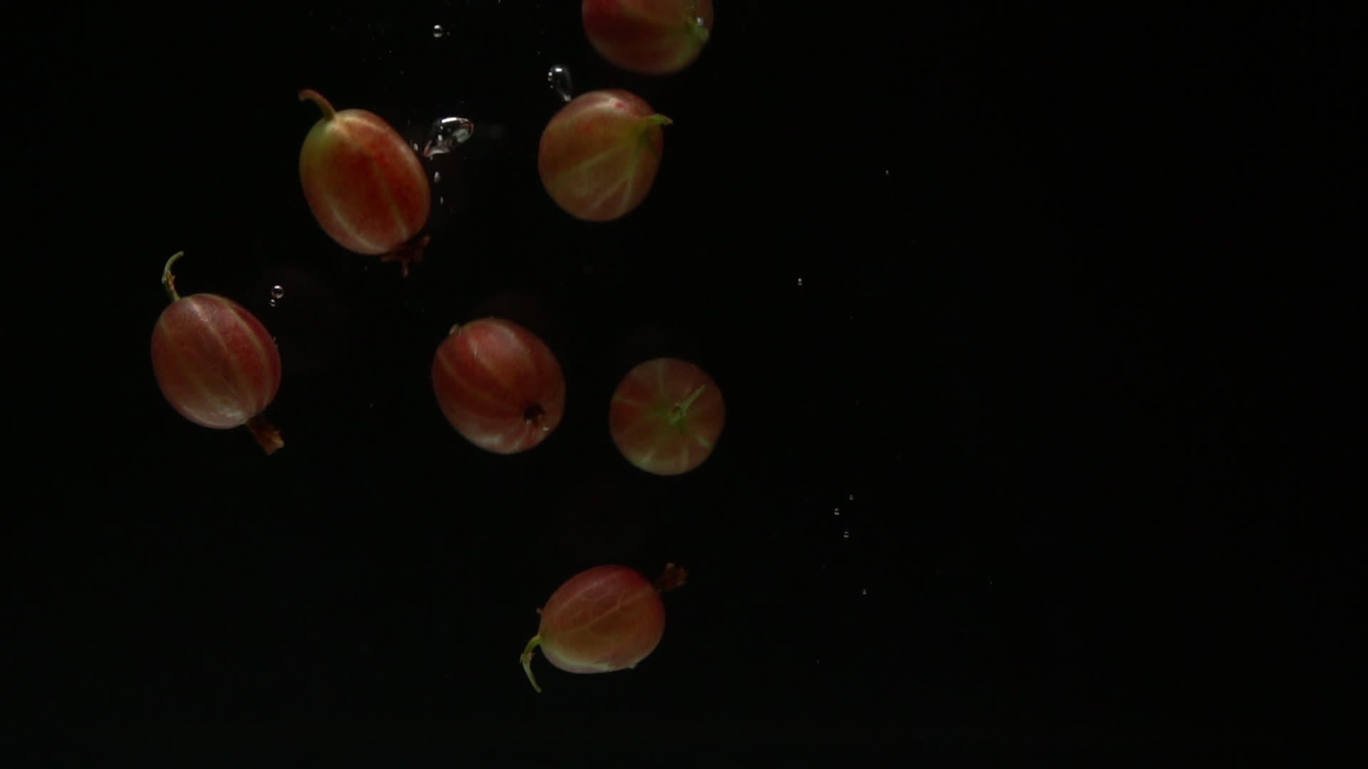 鹅莓沉入水中视频的预览图