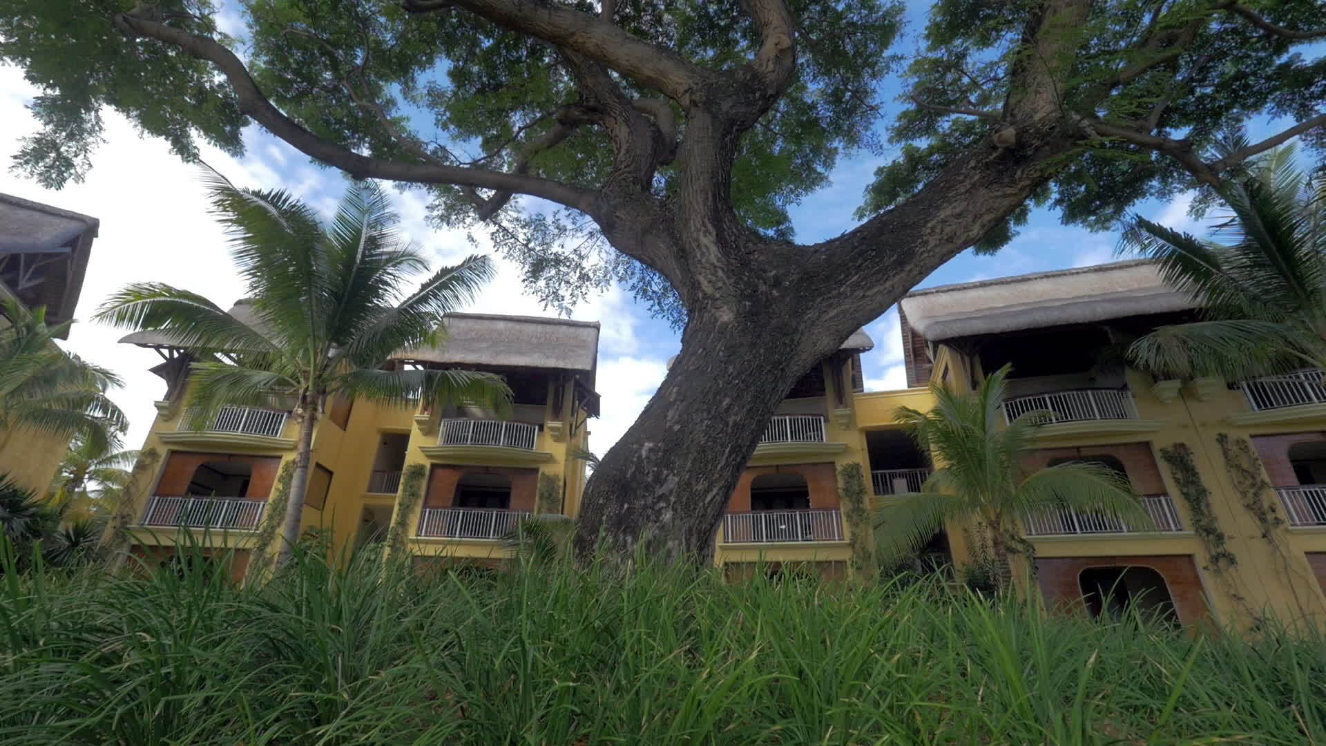 热带度假村的酒店和树木视频的预览图
