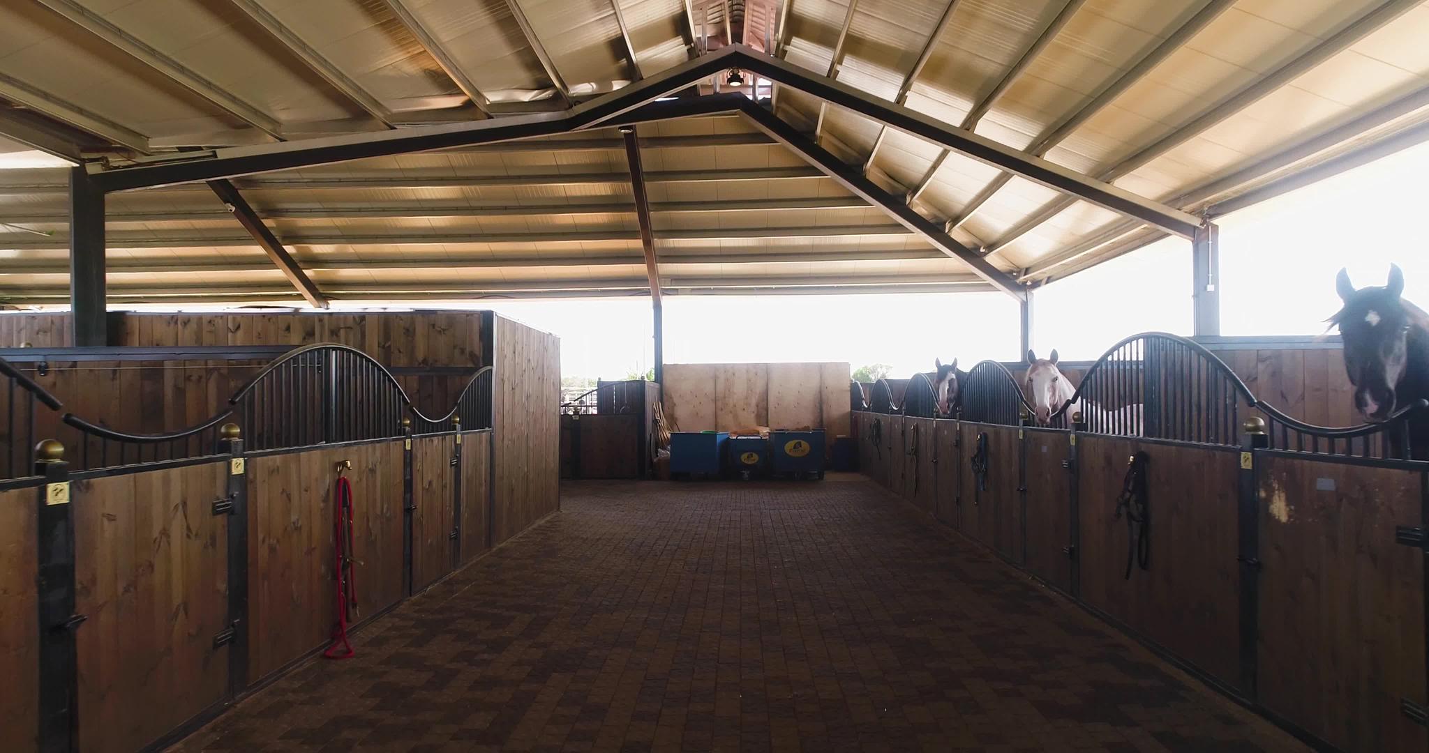内部视图或马种马谷仓牧场空中小车白天在农村马农舍视频的预览图
