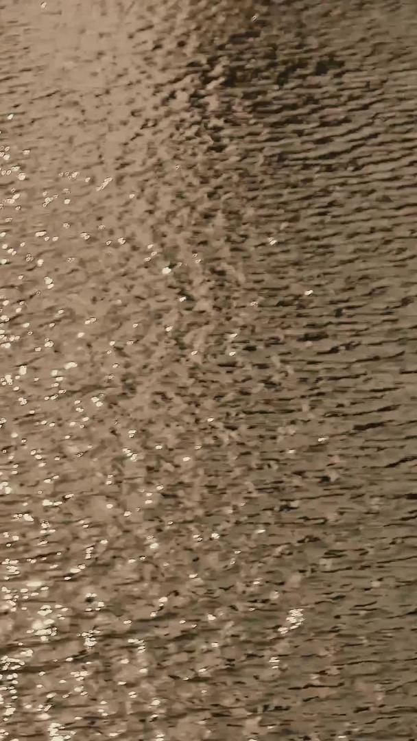 波光粼粼的湖面水波视频的预览图