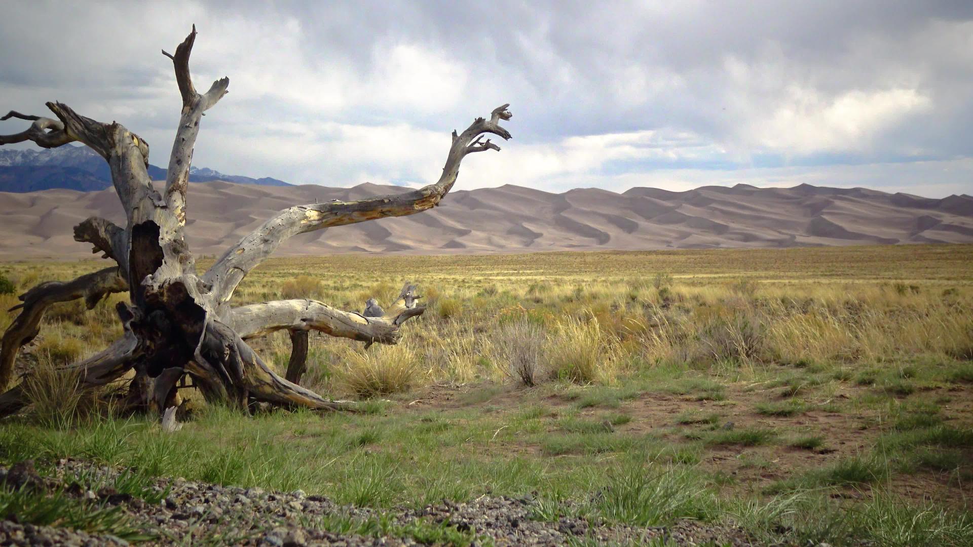 在沙丘的背景下大沙丘国家公园的科罗拉多美丽而干燥视频的预览图