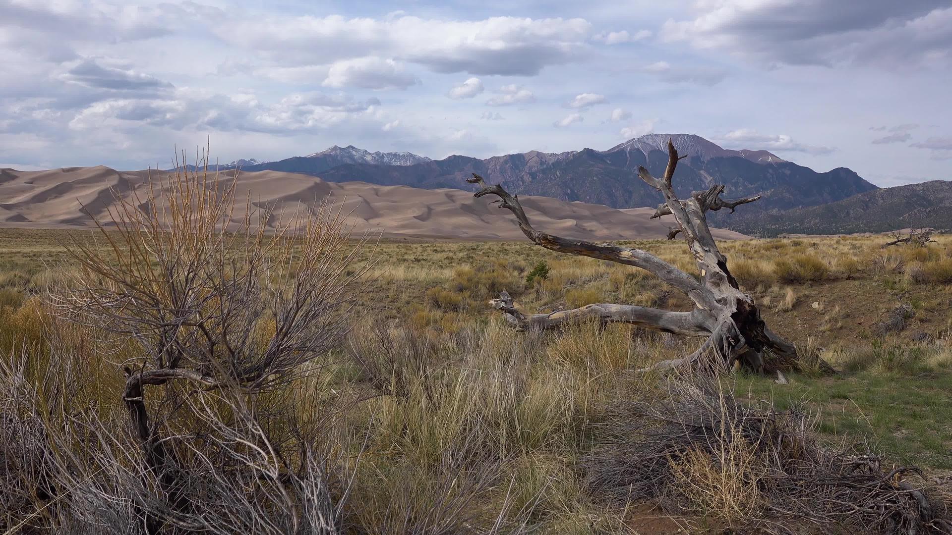 在沙丘的背景下大沙丘国家公园的科罗拉多美丽而干燥视频的预览图
