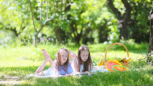 两个孩子在公园野餐视频的预览图