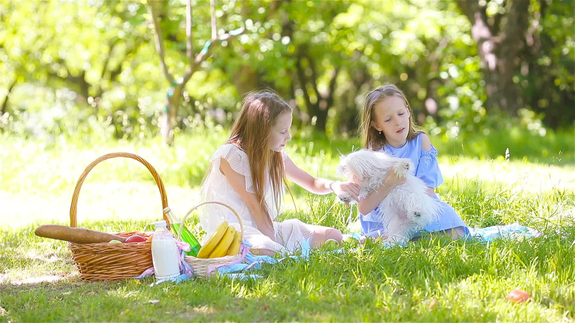 两个孩子在公园野餐视频的预览图