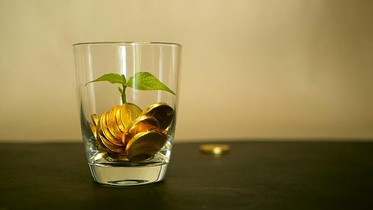 玻璃罐中的金币和黑色背景上的新芽绿叶旋转旋转旋转旋转视频的预览图