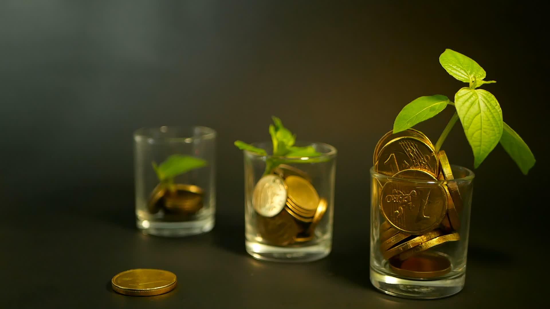 玻璃中的金币和黑色背景下的新芽绿叶金融业务投资理念视频的预览图
