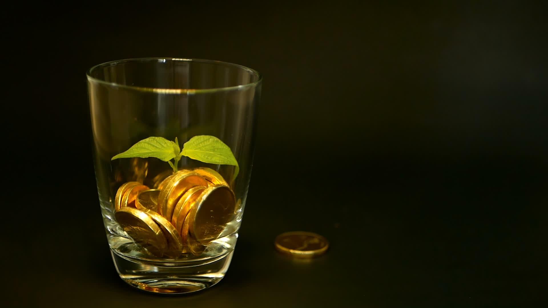 玻璃罐中的金币和黑色背景上的新芽绿叶旋转旋转旋转旋转视频的预览图