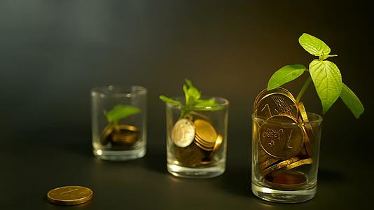 玻璃中的金币和黑色背景下的新芽绿叶金融业务投资理念视频的预览图