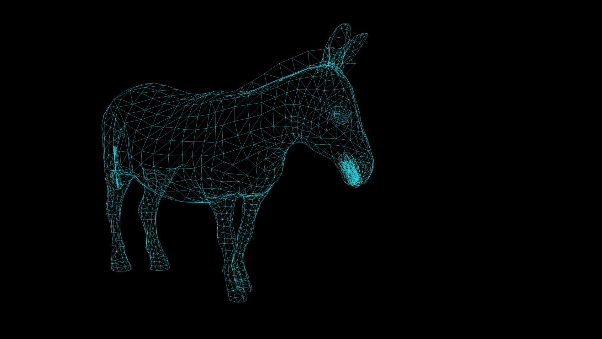 黑色背景驴的铁线框架动画视频的预览图