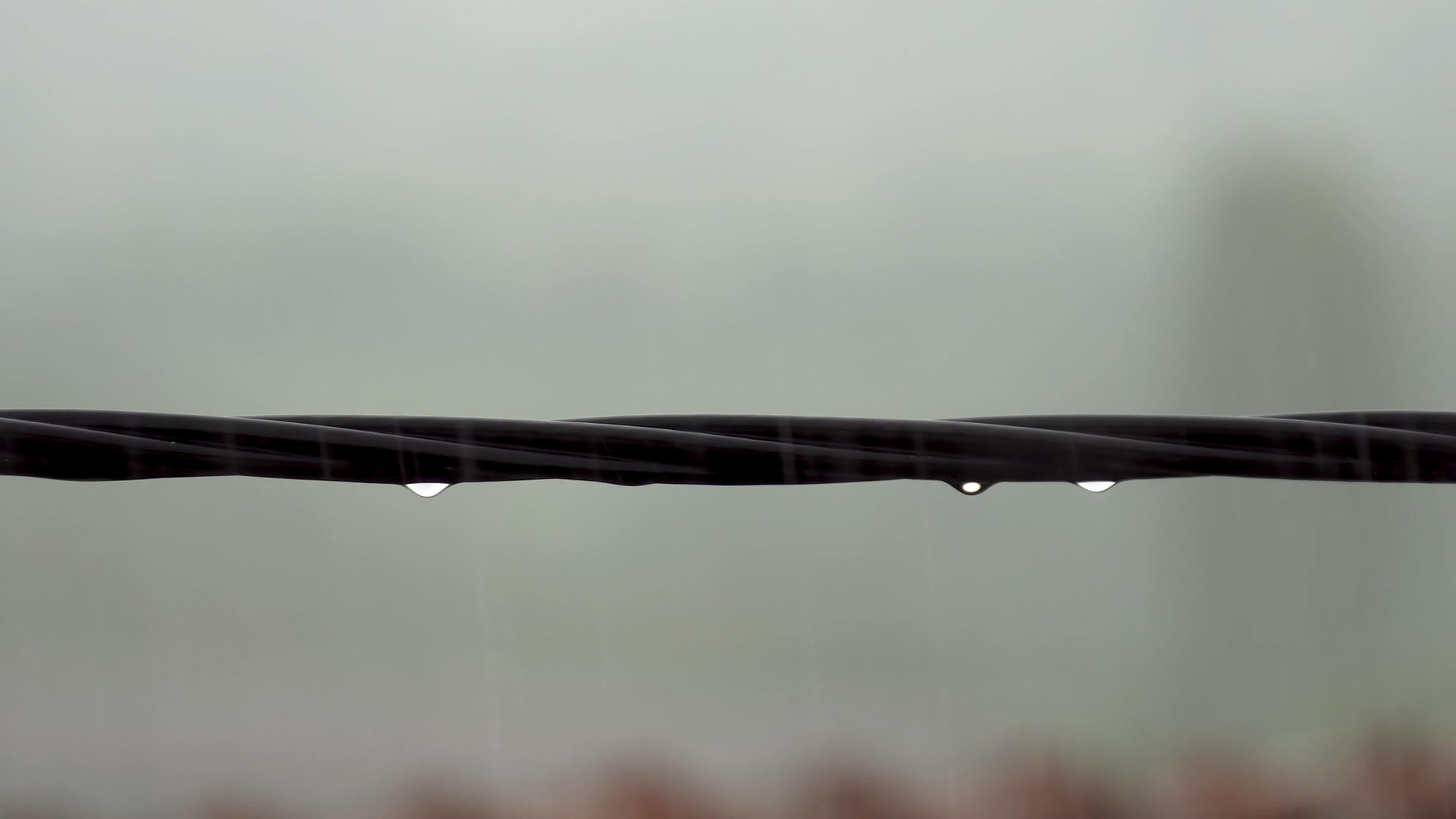 下雨时滴水从电线上掉下来视频的预览图