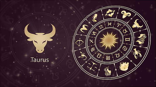 zodiac图鲁和星座轮视频的预览图