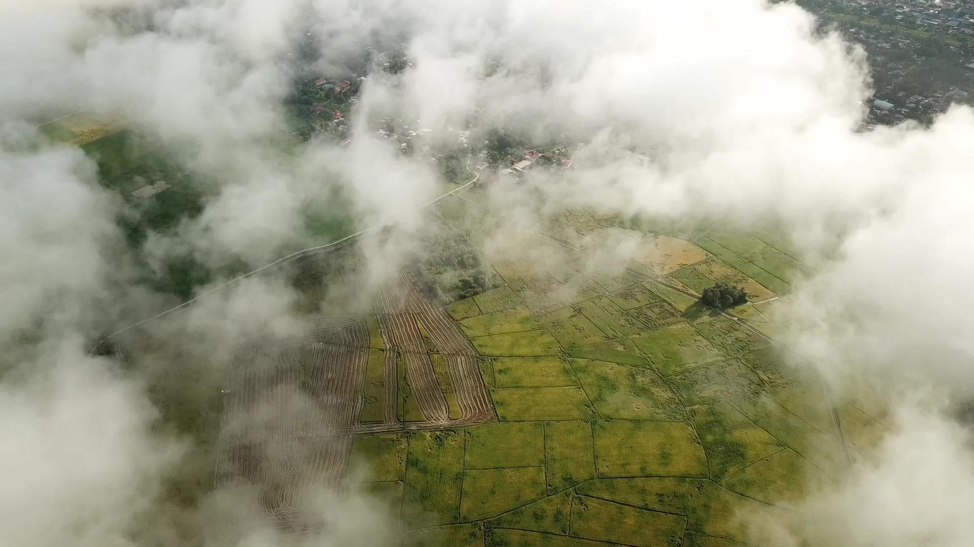 清晨马来西亚的白云风景在稻田上移动视频的预览图
