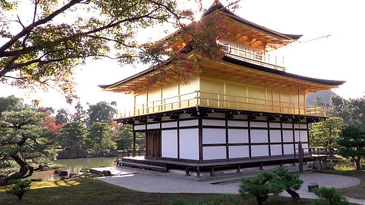 日本的京都和日本在木乃伊季节的阳光下视频的预览图