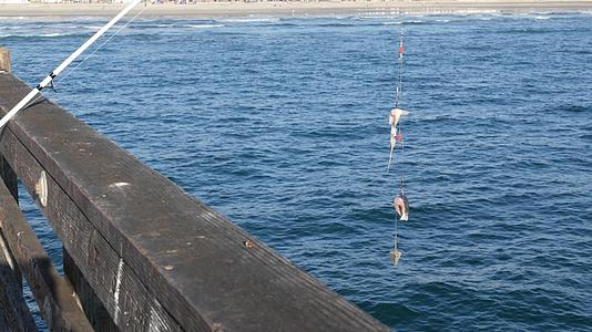 盐水漂浮在码头渔具或渔具上视频的预览图