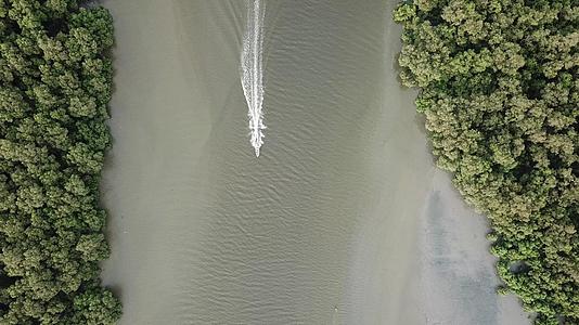 渔船在红树林周围的河上飞翔视频的预览图