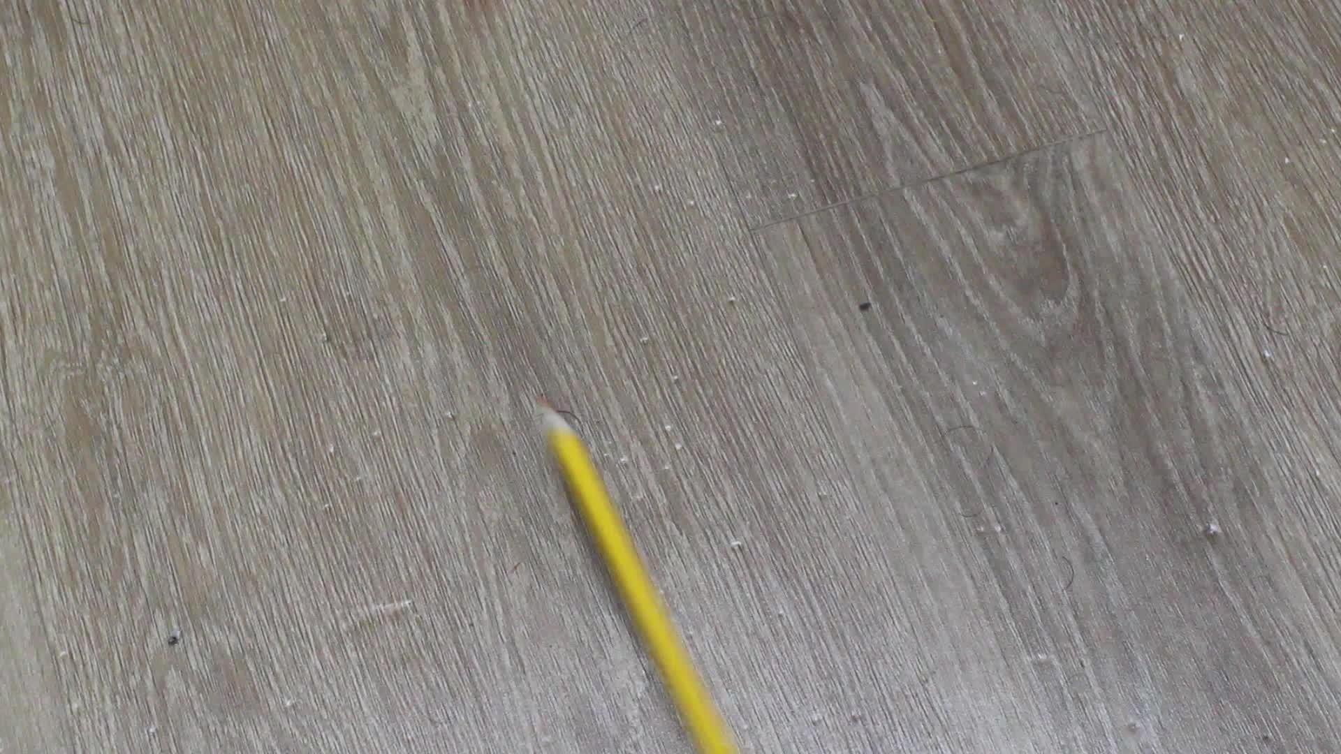 色彩鲜艳的铅笔视频的预览图