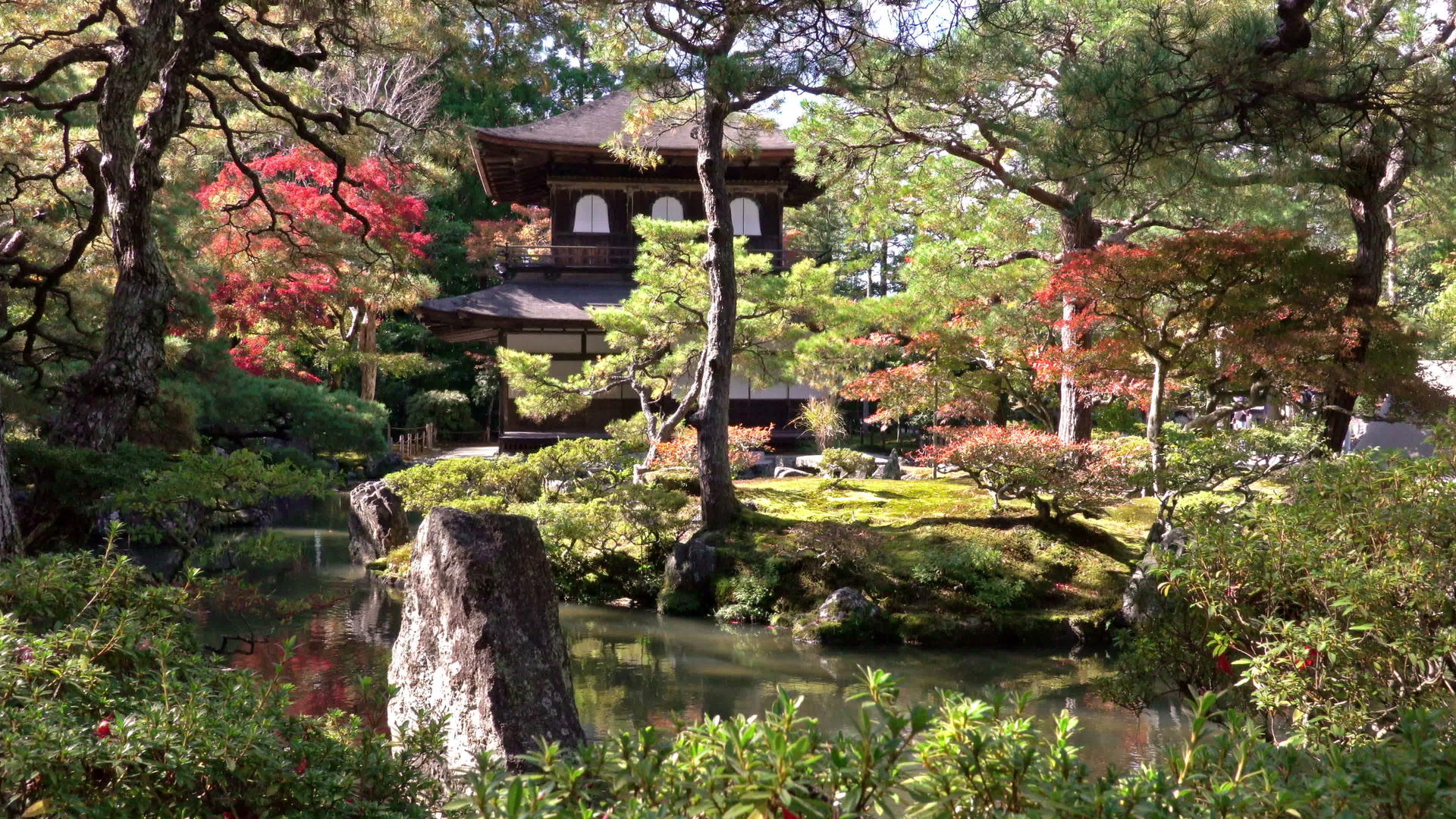 京都秋季木乃伊季节银殿ginkakuji寺庙视频的预览图