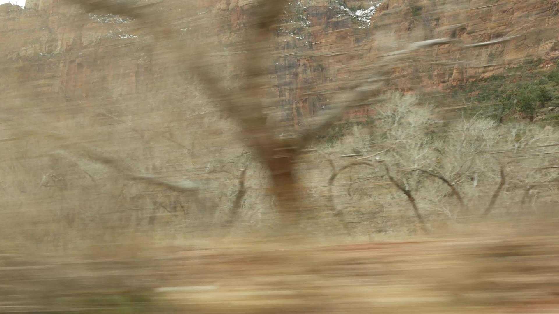 在美国犹他州的锡安峡谷开车在美国搭便车视频的预览图