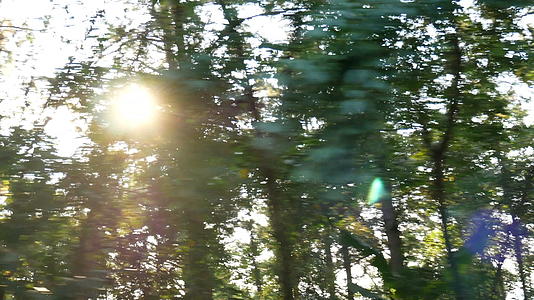 阳光照耀着木头沿着车道奔驰PortnoyFennium视频的预览图